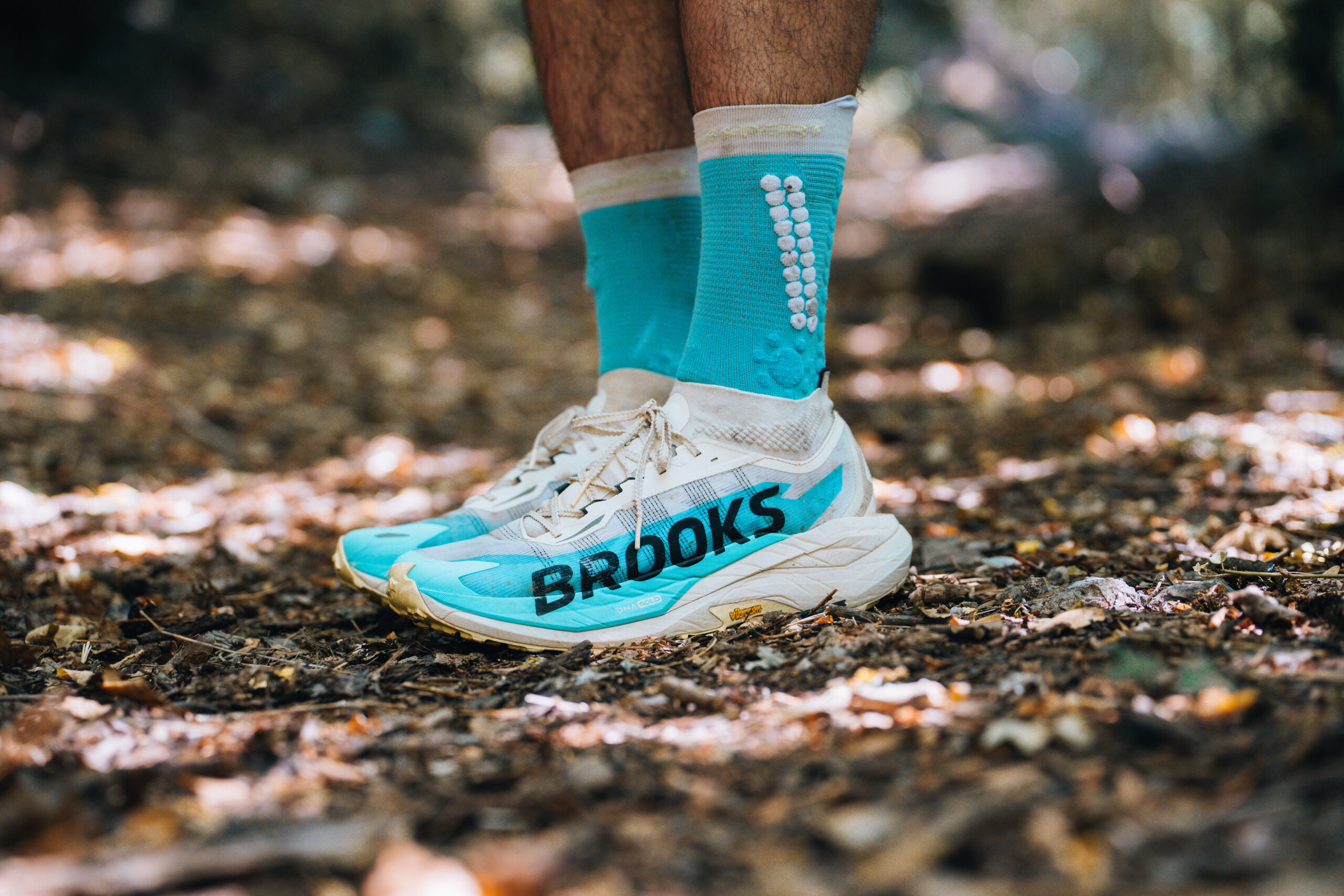 Brooks Cascadia elite